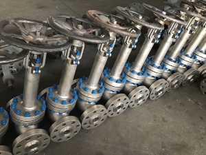 Extended stem gate valve