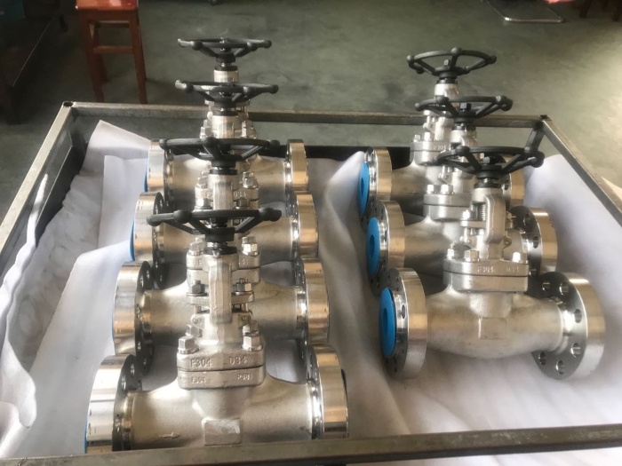 Stainless steel integral flanged gate valve